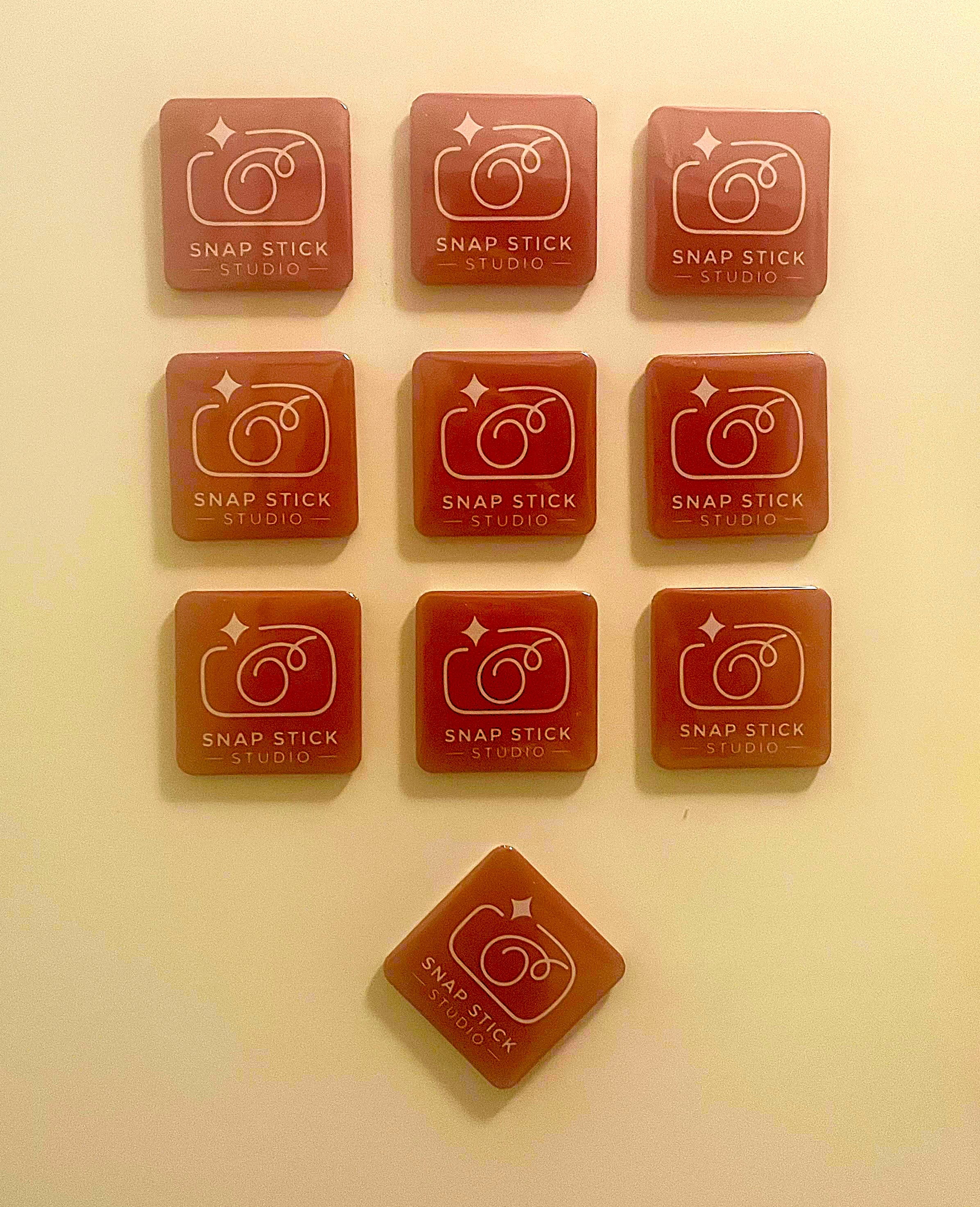 10 Pack Photo Magnets (same picture)