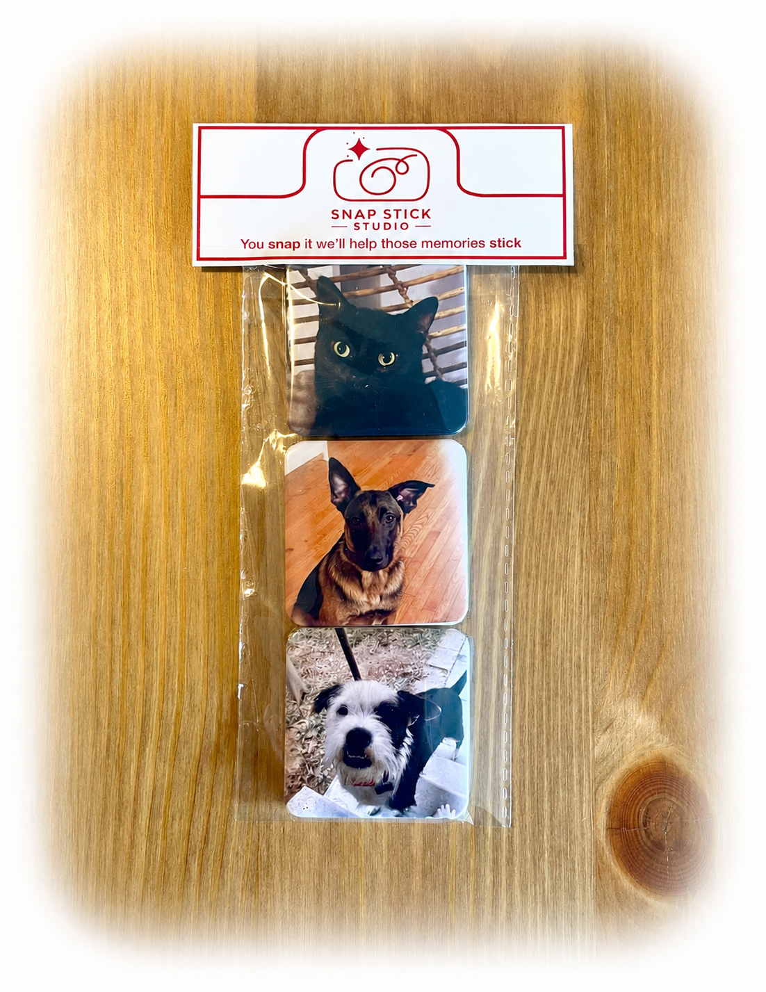 3 Pack Photo Magnets Different Pictures)