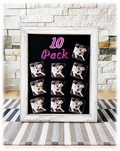 10 Pack Photo Magnets (same picture)